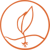 Trusts & Foundations image